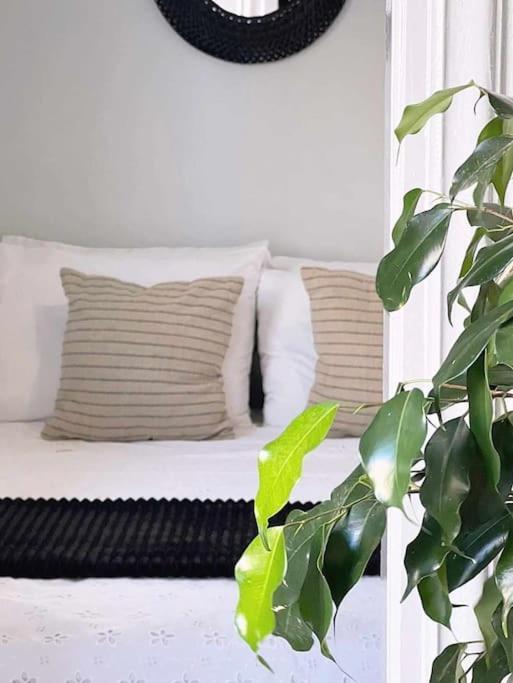 Kálymnos Ammoudara Apartment'S מראה חיצוני תמונה